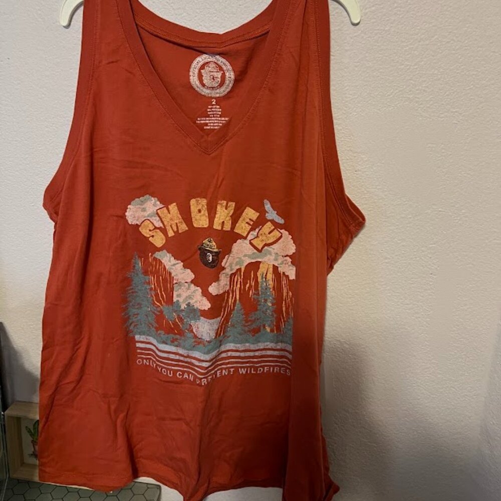 Smokey Bear V neck graphic T size 2X from Torrid
